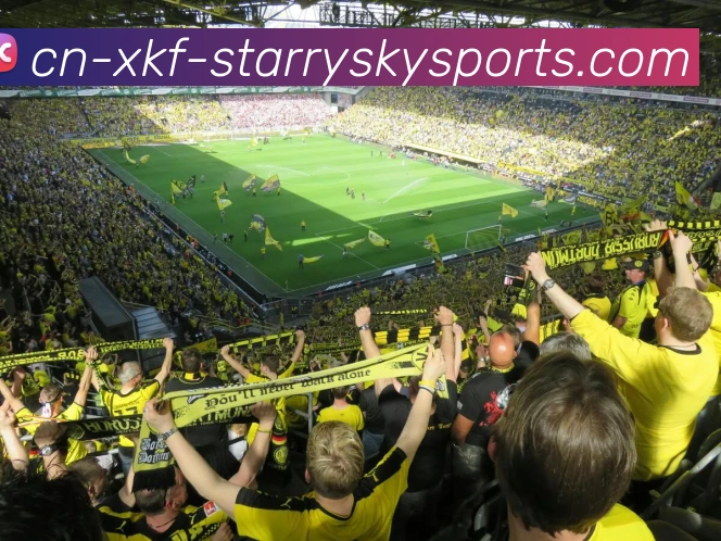 星空体育服务体系